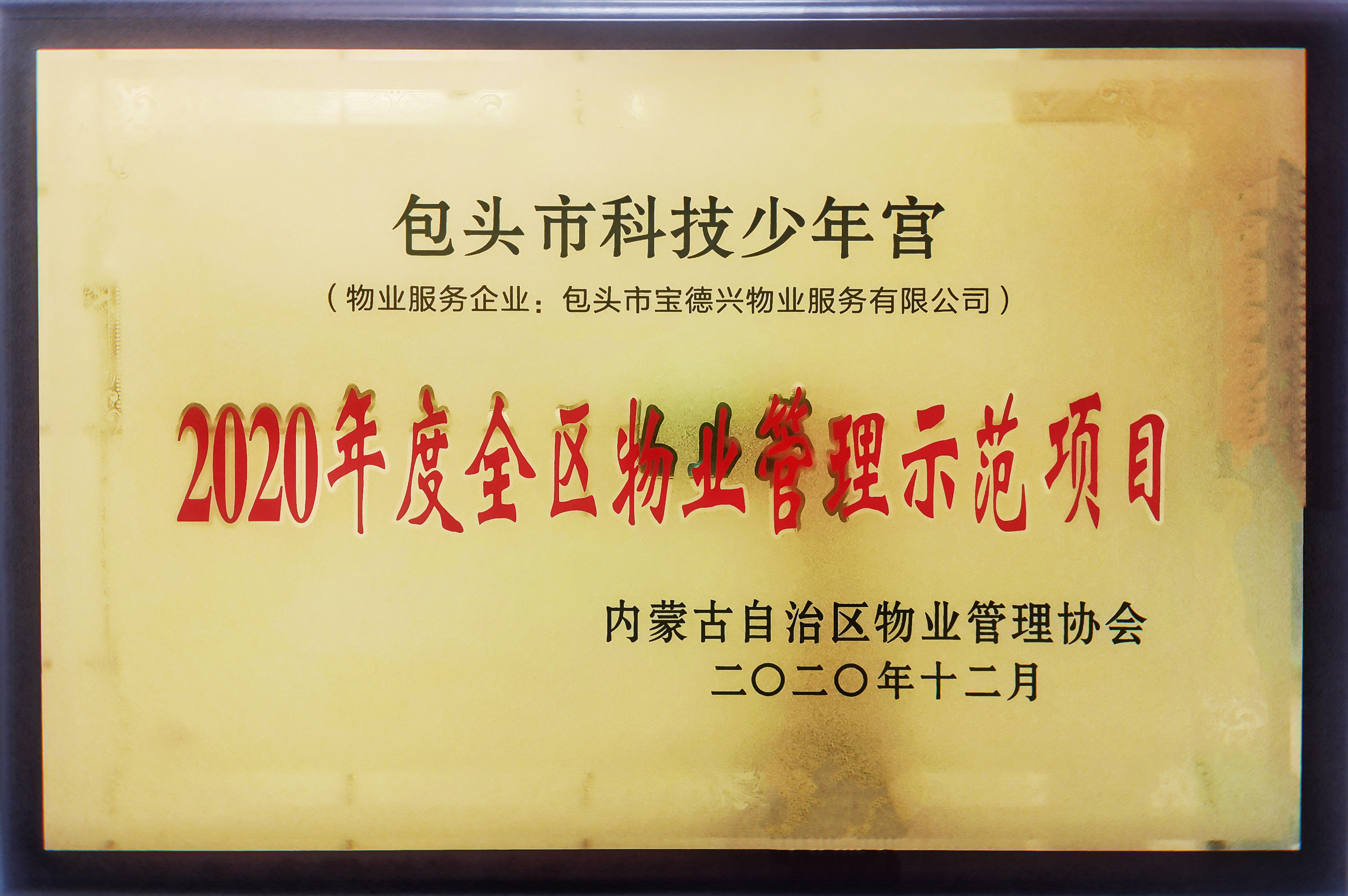 2020年度全區(qū)示范物業(yè)服務(wù)項(xiàng)目